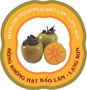 chi-dan-dia-ly-Hong-Bao-Lam03